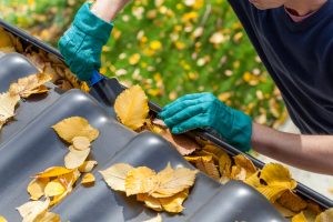 Property Maintenance